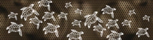 Artwork of turtles